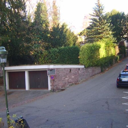 Garden Apartment Baden-Baden Exterior photo